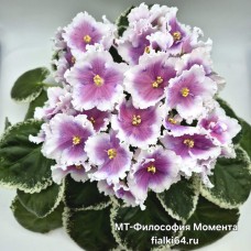 МТ-Философия Момента